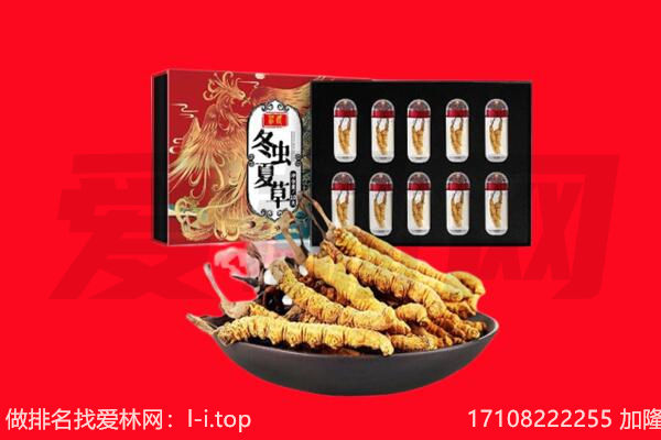 包头达尔罕茂明安联合旗回收虫草.jpg